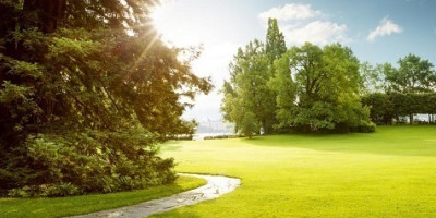 article image:  By the Amenity Forum 