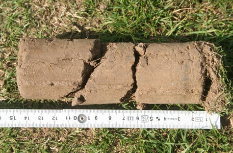 core sample size