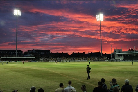 cricket sunset