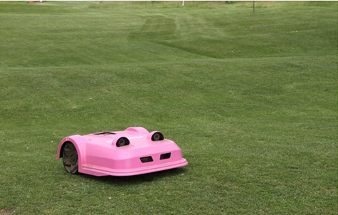pink robot