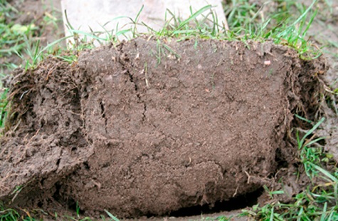 soil depth sml