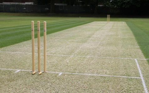 cricket square sml