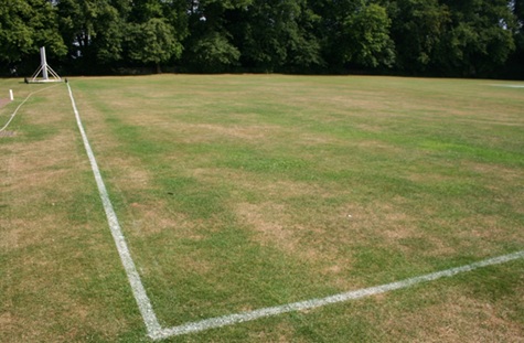 grassroots pit dry