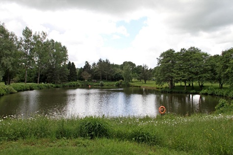 pond